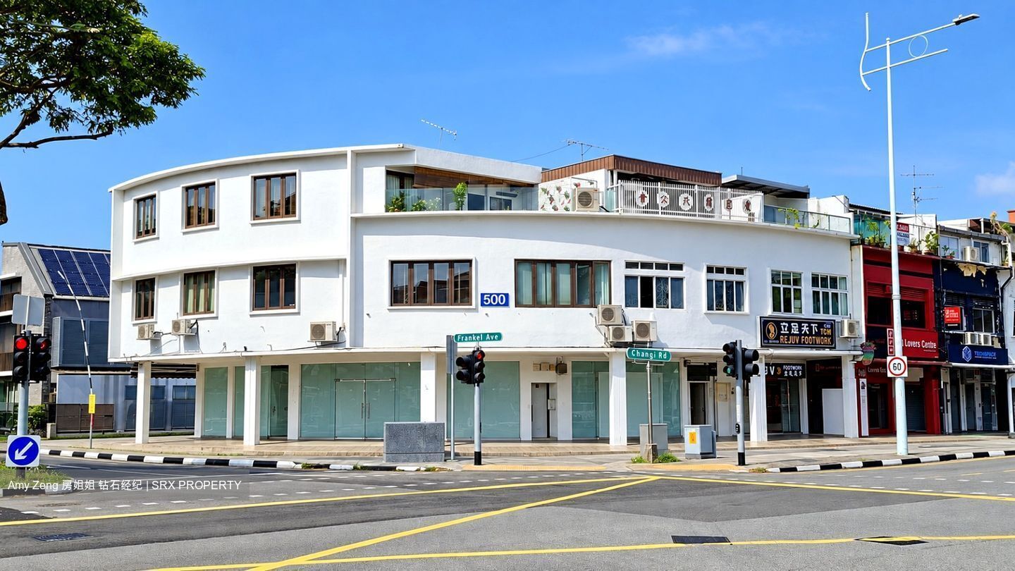 Changi Road (D14), Shop House #624556751